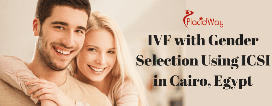 IVF with Gender Selection Using ICSI in Cairo, Egypt